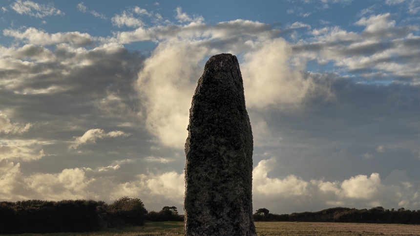 a year in a field.jpg